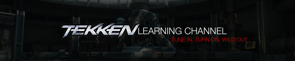 tekken learning channel site header image